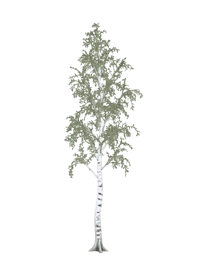 Birch Tree Small - Bark 3D model, vytvořený pomocí AI