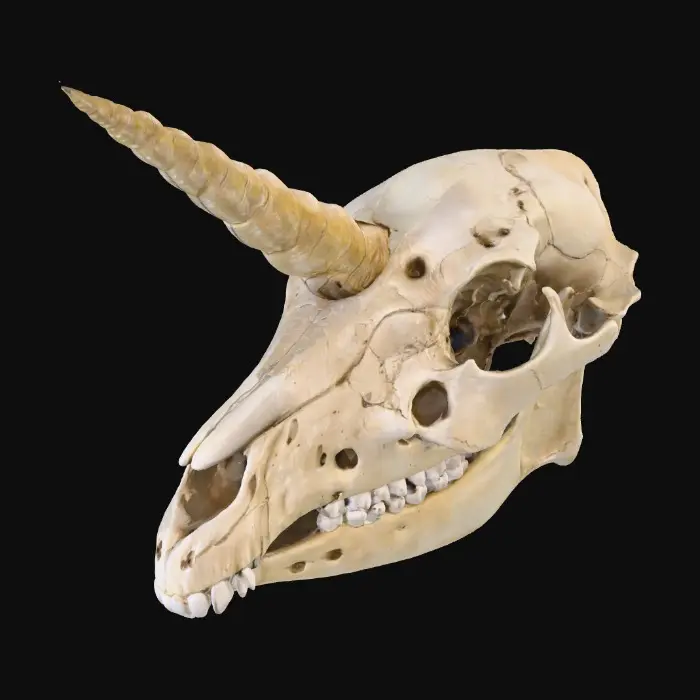 3D model for Ethereal Remains