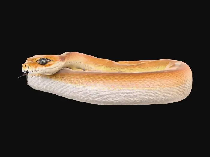 3D model for A sidewinder snake with detailed scales and sharp fangs slithering in a wave.