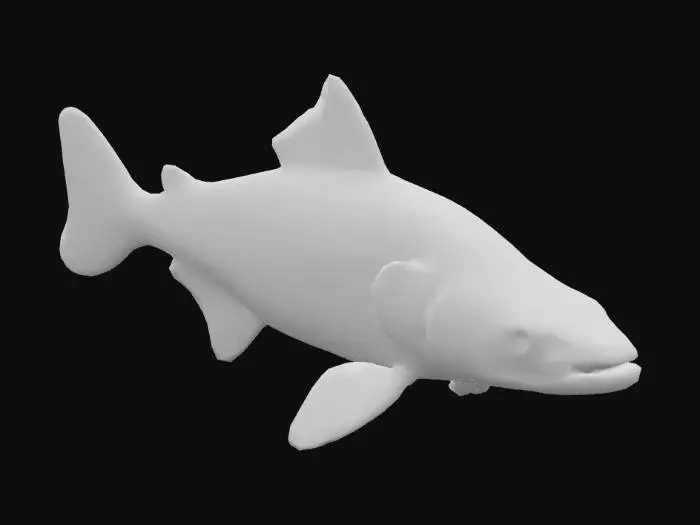 3D model for A sturgeon fish with shiny scales and large eyes.