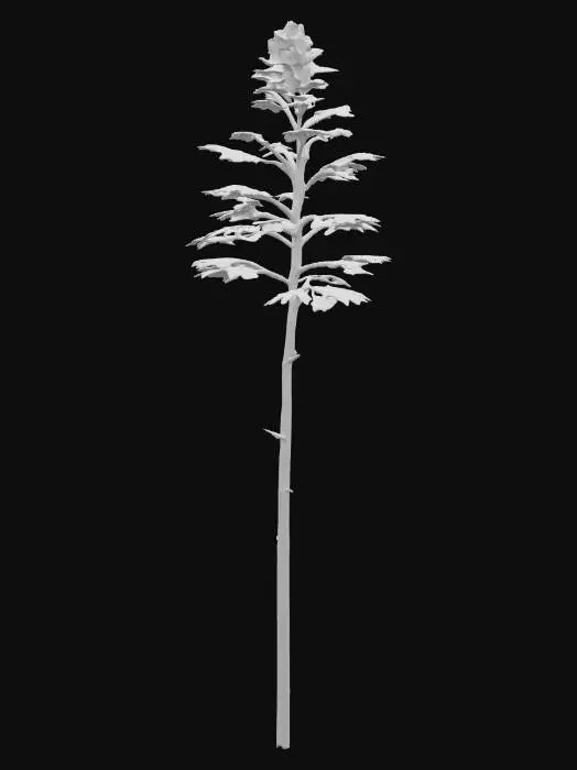 3D model for A Maple tree with detailed autumn colored leaves and a textured trunk.