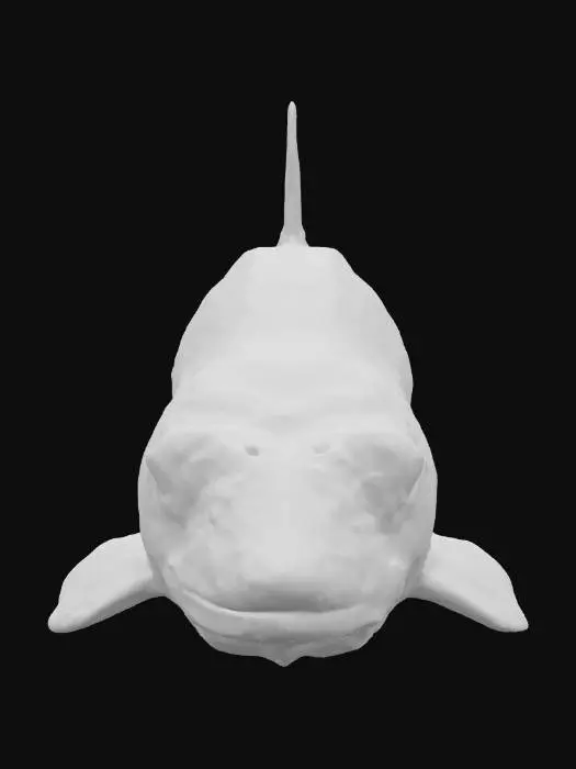 3D model for A sturgeon fish with shiny scales and large eyes.