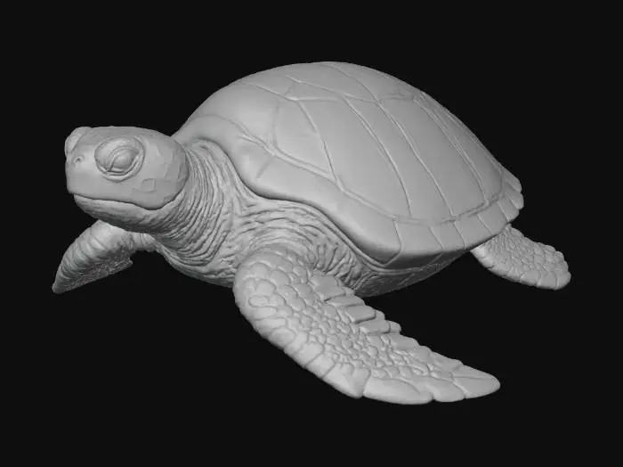 3D model for Turtle Odyssey
