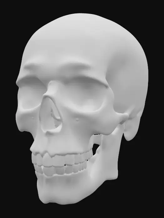 3D model for An opal skull. The exquisite carved gemstone showcases a milky, translucent quality, allowing for an internal glow that emanates a full spectrum of radiant, opalescent hues. Fine, hair-thin internal veins catch and refract light, enhancing the shifting rainbow effect that dances across its pointed ends and along its subtly ridged edges. Blues, reds, yellows, greens, all appear like a real opal in the light.