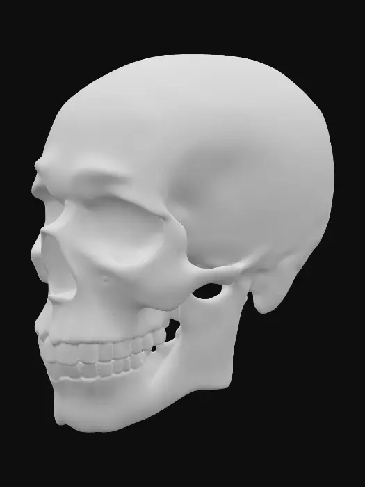 3D model for An opal skull. The exquisite carved gemstone showcases a milky, translucent quality, allowing for an internal glow that emanates a full spectrum of radiant, opalescent hues. Fine, hair-thin internal veins catch and refract light, enhancing the shifting rainbow effect that dances across its pointed ends and along its subtly ridged edges. Blues, reds, yellows, greens, all appear like a real opal in the light.