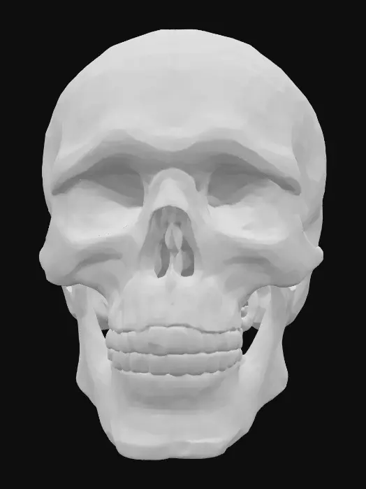 3D model for an image of a skull that is highly detailed. the skull has a gold grill on its teeth like the rappers do. the skull is dark stone and shiny. 