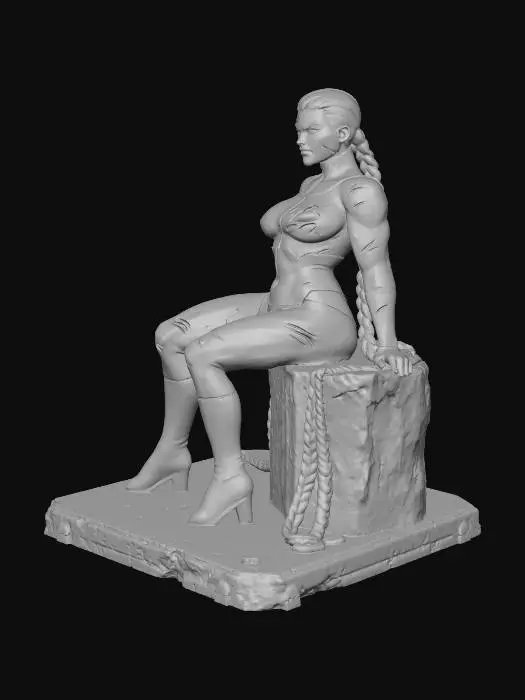 3D model for Warrior Resilience