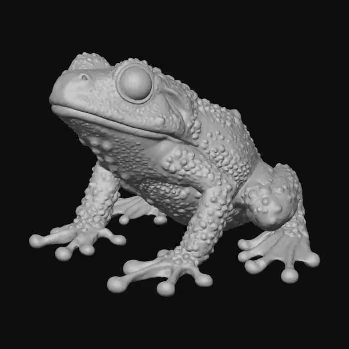 3D model for Mossy Frog Illustration