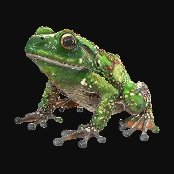 3D model for Mossy Frog Illustration