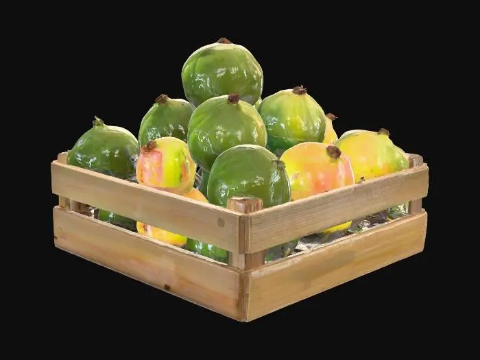 3D model for Guava Harvest