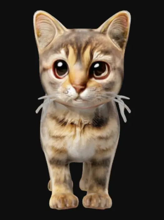 3D model for Curious Kitten