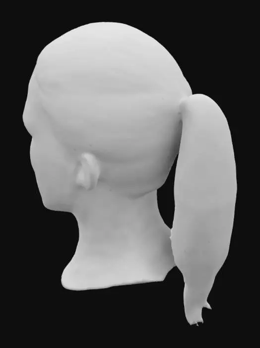 3D model for Ponytail Silhouette