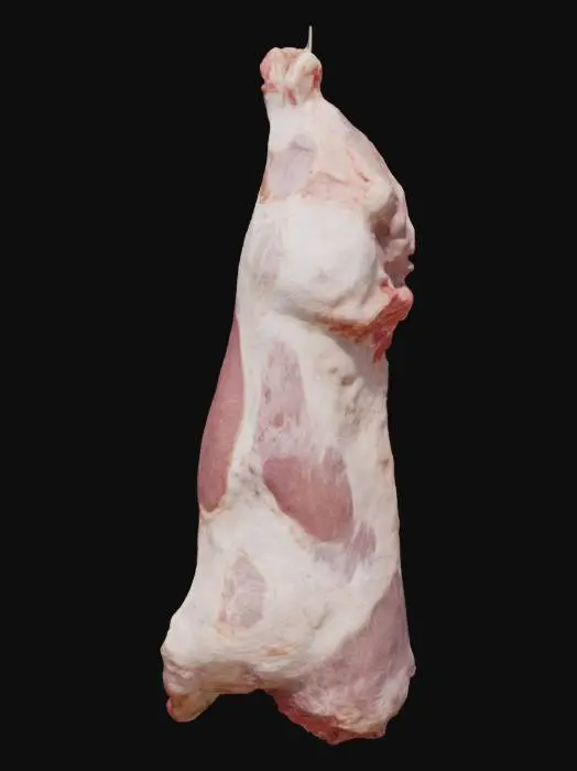 3D model for Beef Carcass Display