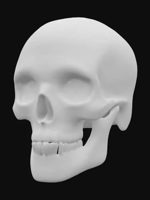 3D model for a single skull, dia de los muertos inspired,