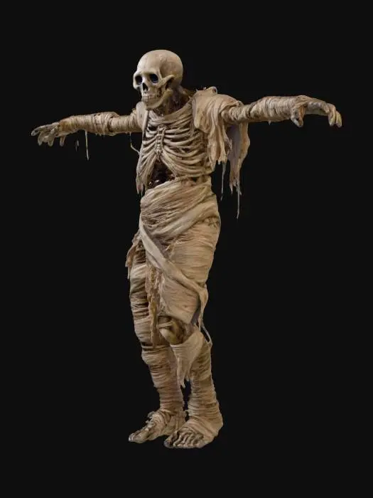 3D model for a mummified corpse, covered in some sort of cocoon, they have a horrific expression on their face, A-pose