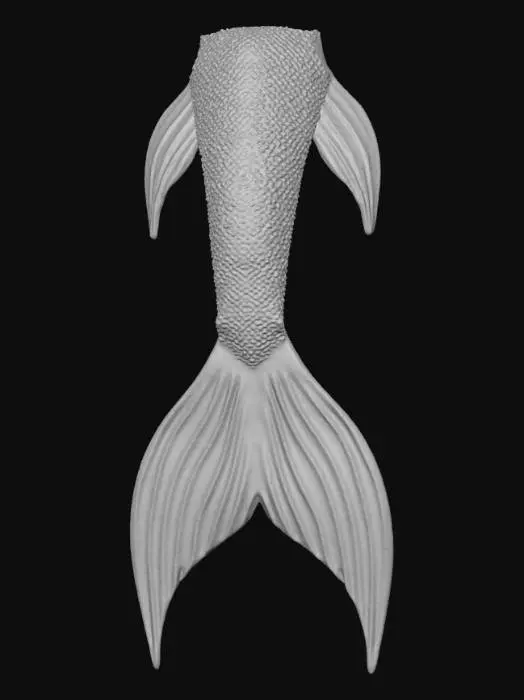 3D model for Aqua Mermaid Tail