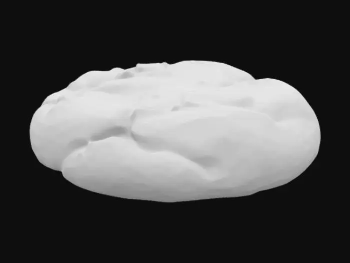 3D model for Chocolate Chip Cookie