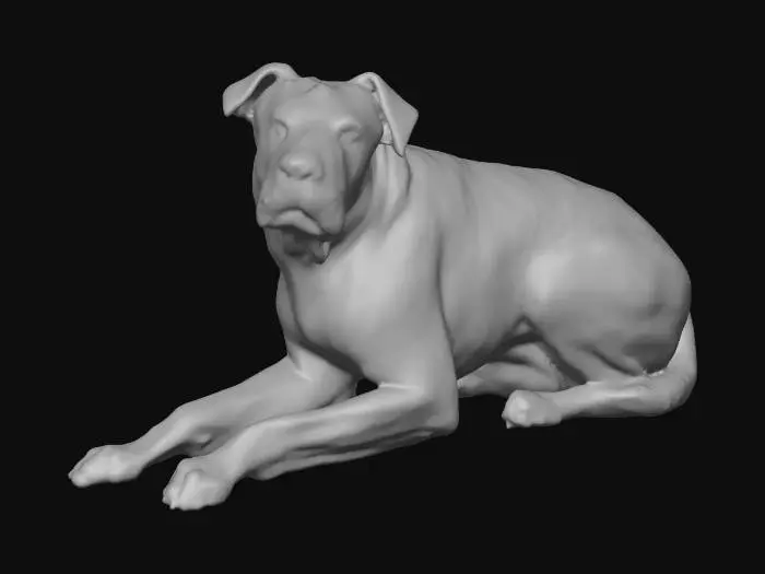 3D model for Ultra realistic ultra detail dog of a rescue dog class breed. Ultra high quality realistic textures. Solid infill.