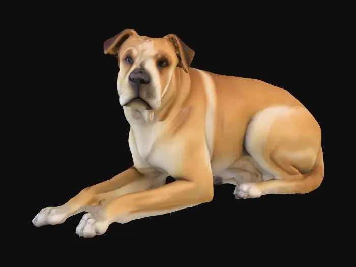 3D model for Ultra realistic ultra detail dog of a rescue dog class breed. Ultra high quality realistic textures. Solid infill.