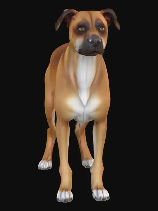 3D model for Highly realistic ultra detail dog of a working class breed. Ultra high quality realistic textures. Solid infill.