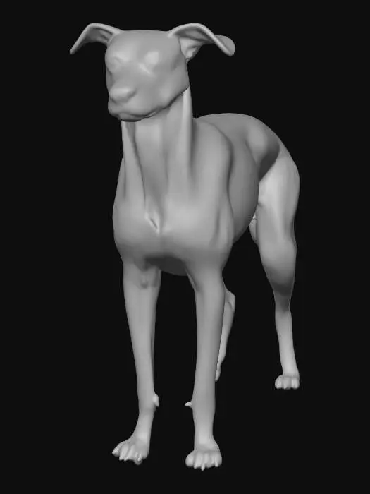 3D model for Ultra realistic ultra detail dog of a pointer class breed. Ultra high quality realistic textures. Solid infill.