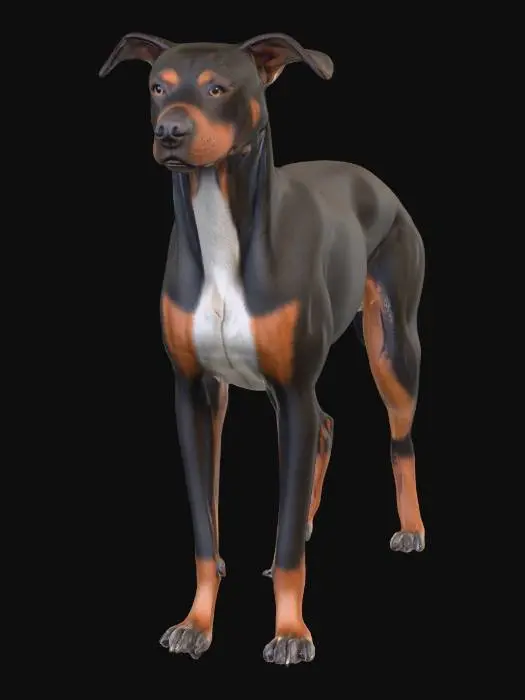 3D model for Ultra realistic ultra detail dog of a pointer class breed. Ultra high quality realistic textures. Solid infill.