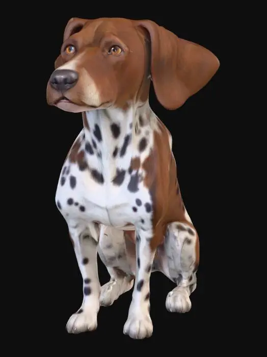 3D model for Ultra realistic ultra detail dog of a pointer class breed. Ultra high quality realistic textures. Solid infill.