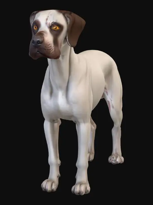 3D model for Ultra realistic ultra detail dog of a pointer class breed. Ultra high quality realistic textures. Solid infill.