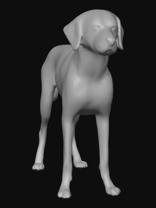 3D model for Ultra realistic ultra detail dog of a pointer class breed. Ultra high quality realistic textures. Solid infill.