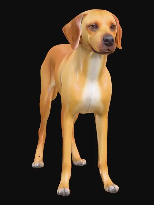 3D model for Ultra realistic ultra detail dog of a pointer class breed. Ultra high quality realistic textures. Solid infill.