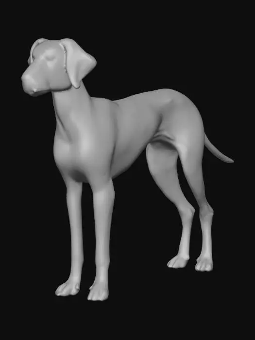 3D model for Ultra realistic ultra detail dog of a pointer class breed. Ultra high quality realistic textures. Solid infill.
