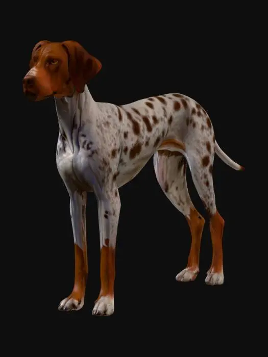 3D model for Ultra realistic ultra detail dog of a pointer class breed. Ultra high quality realistic textures. Solid infill.