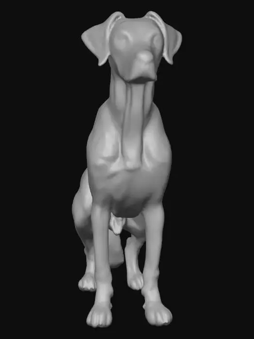 3D model for Ultra realistic ultra detail dog of a pointer class breed. Ultra high quality realistic textures. Solid infill.