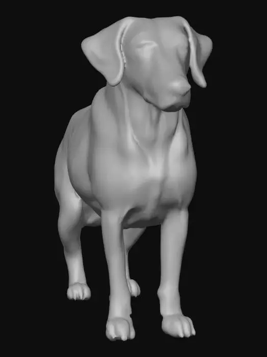 3D model for Ultra realistic ultra detail dog of a pointer class breed. Ultra high quality realistic textures. Solid infill.