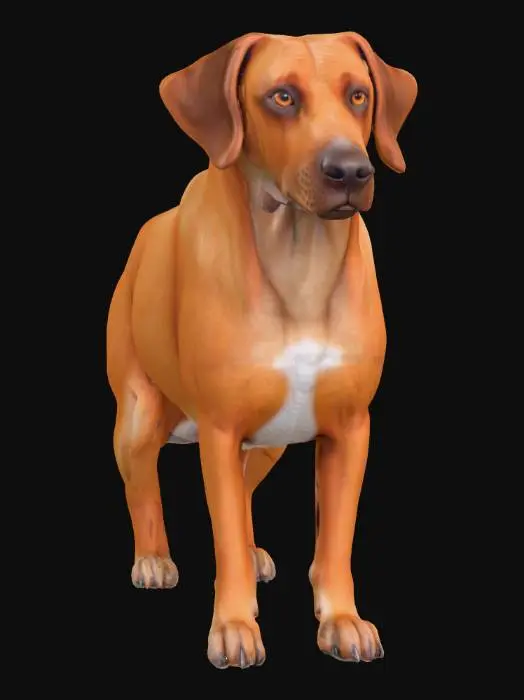 3D model for Ultra realistic ultra detail dog of a pointer class breed. Ultra high quality realistic textures. Solid infill.