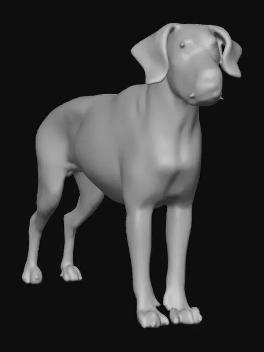 3D model for Ultra realistic ultra detail dog of a pointer class breed. Ultra high quality realistic textures. Solid infill.