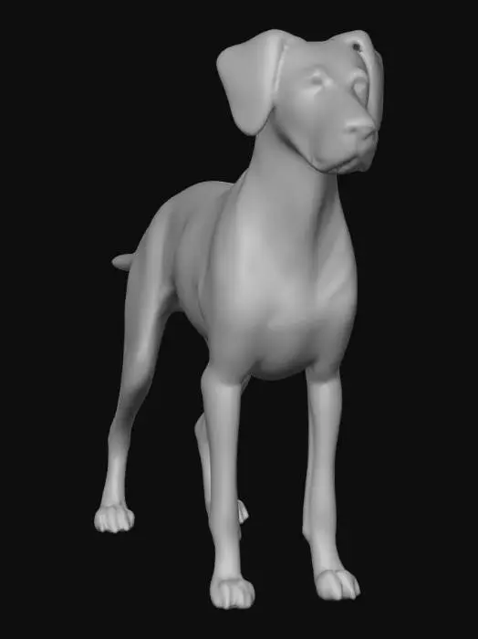 3D model for Ultra realistic ultra detail dog of a pointer class breed. Ultra high quality realistic textures. Solid infill.