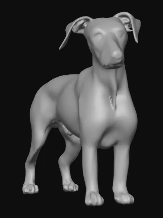 3D model for Ultra realistic ultra detail dog of a pointer class breed. Ultra high quality realistic textures. Solid infill.