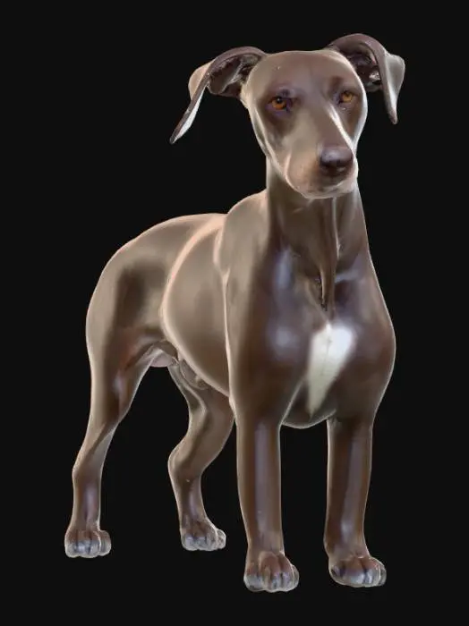 3D model for Ultra realistic ultra detail dog of a pointer class breed. Ultra high quality realistic textures. Solid infill.