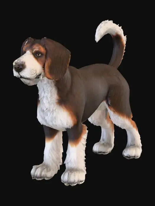 3D model for Ultra realistic ultra detail dog of a setter class breed. Ultra high quality realistic textures. Solid infill.