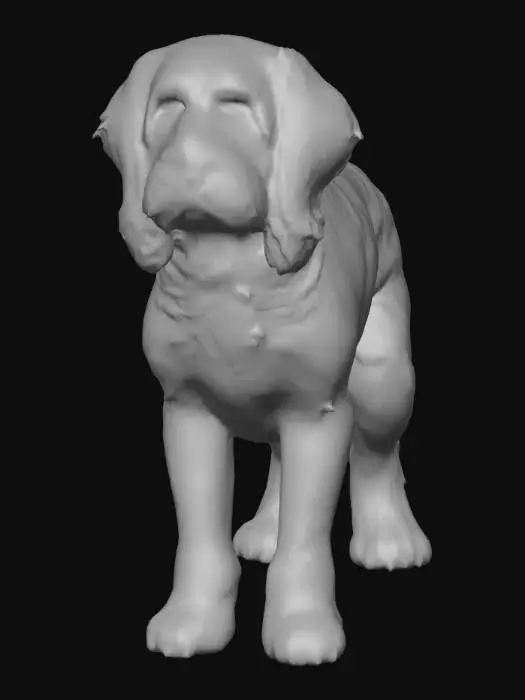 3D model for Ultra realistic ultra detail dog of a setter class breed. Ultra high quality realistic textures. Solid infill.