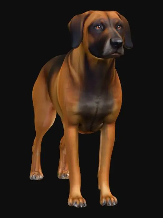 3D model for Ultra realistic ultra detail dog of a hound class breed. Ultra high quality realistic textures. Solid infill.