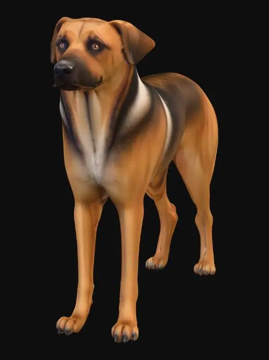 3D model for Ultra realistic ultra detail dog of a hound class breed. Ultra high quality realistic textures. Solid infill.