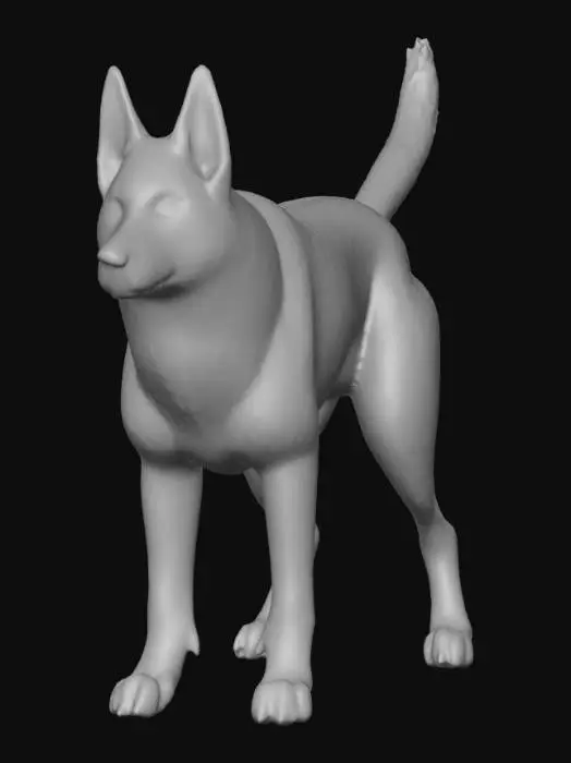 3D model for Ultra realistic ultra detail dog of a herding class breed. Ultra high quality realistic textures. Solid infill.