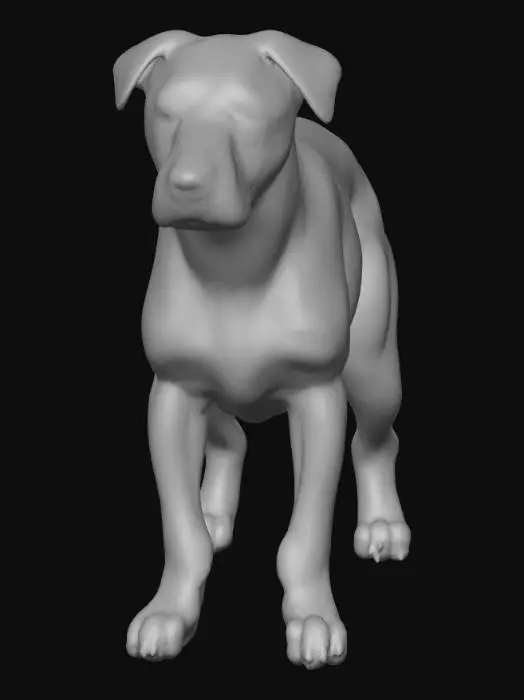 3D model for Ultra realistic ultra detail dog of a herding class breed. Ultra high quality realistic textures. Solid infill.