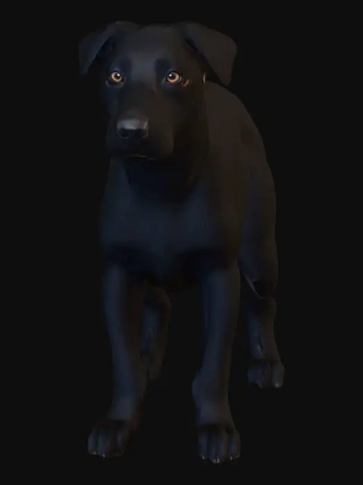 3D model for Ultra realistic ultra detail dog of a herding class breed. Ultra high quality realistic textures. Solid infill.