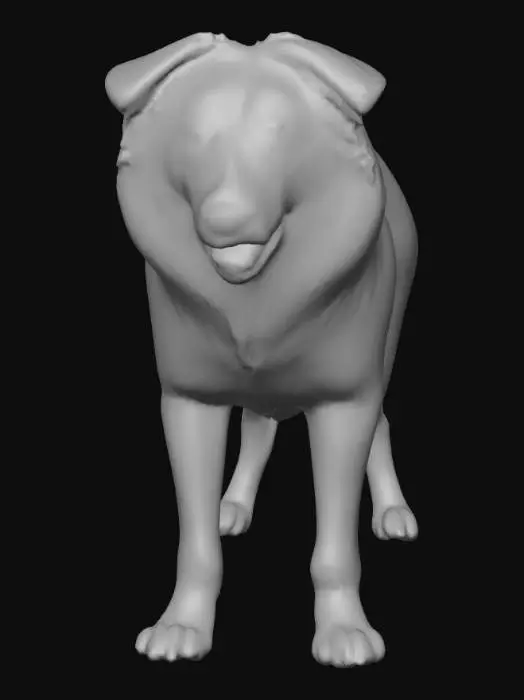 3D model for Ultra realistic ultra detail dog of a herding class breed. Ultra high quality realistic textures. Solid infill.