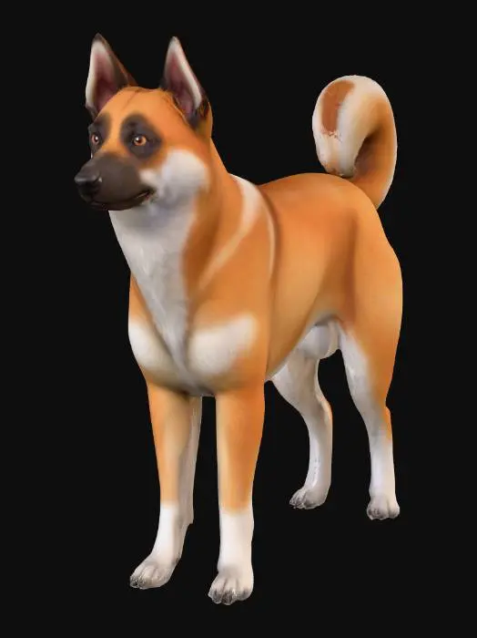 3D model for Ultra realistic ultra detail dog of a herding class breed. Ultra high quality realistic textures. Solid infill.