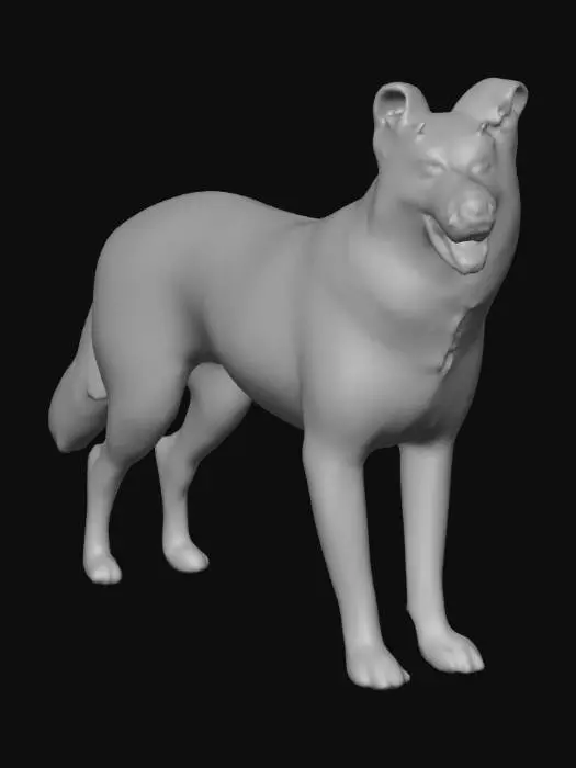 3D model for Ultra realistic ultra detail dog of a herding class breed. Ultra high quality realistic textures. Solid infill.