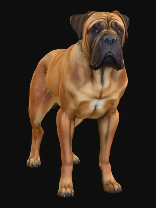3D model for Ultra realistic ultra detail dog of a mastiff class breed. Ultra high quality realistic textures. Solid infill.